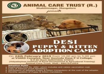 puppy-kitten-adoption-surathkal feb 24 2019