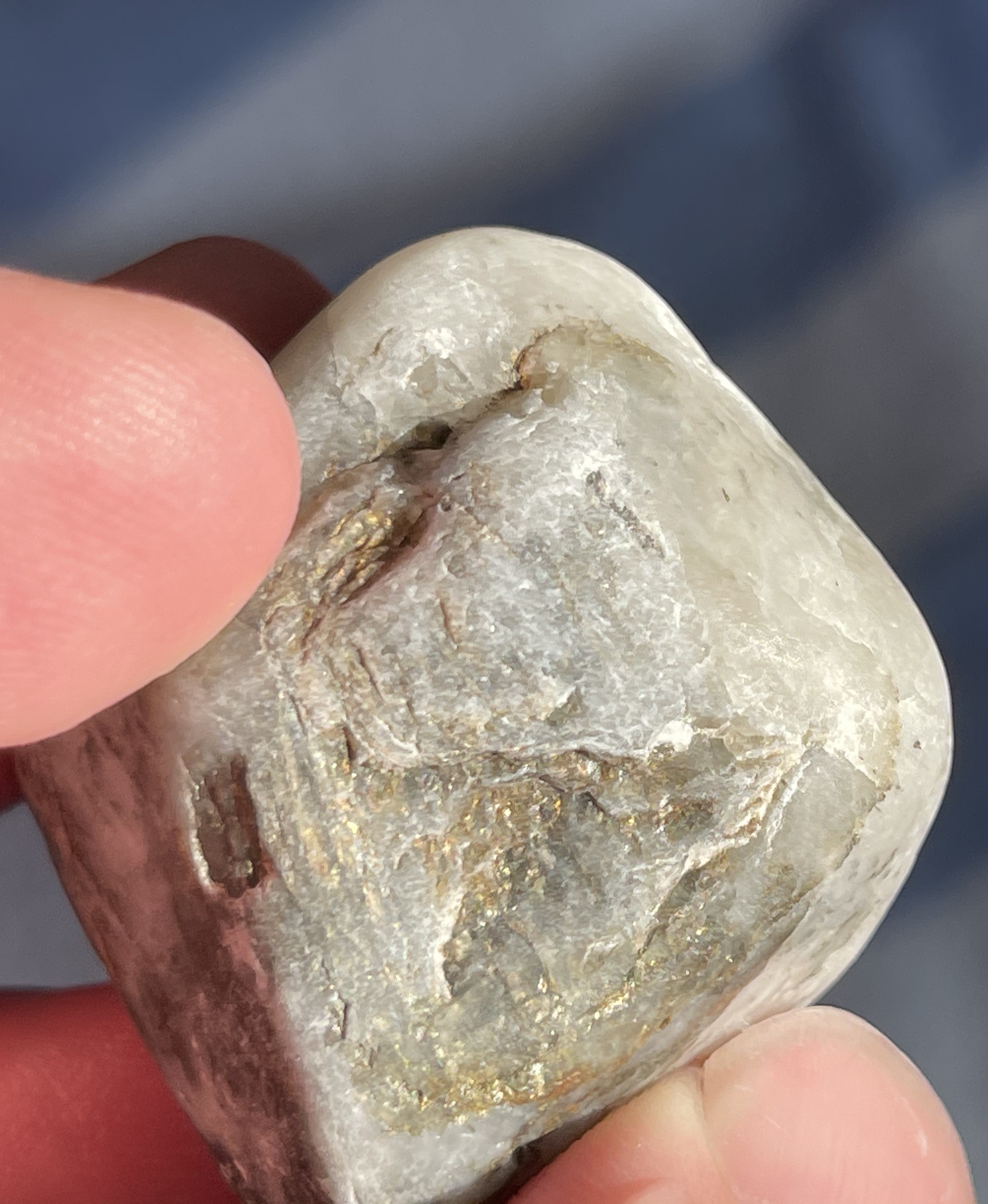 Agates/Rocks from Lake Ontario | Rock Tumbling Hobby