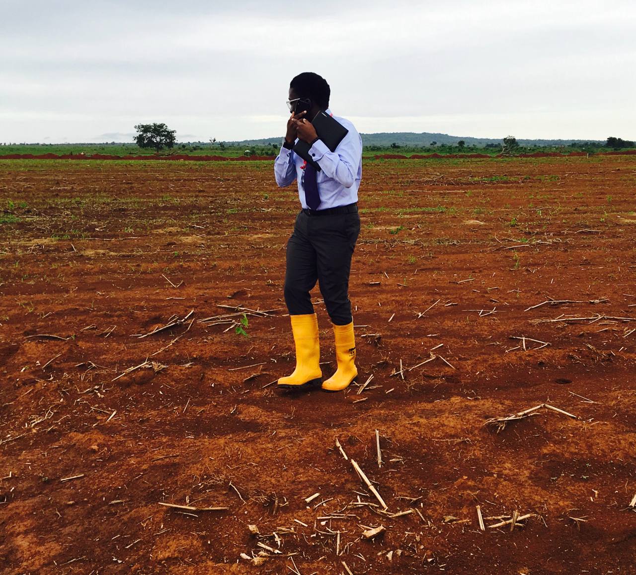 Zino in a agricultural farmland