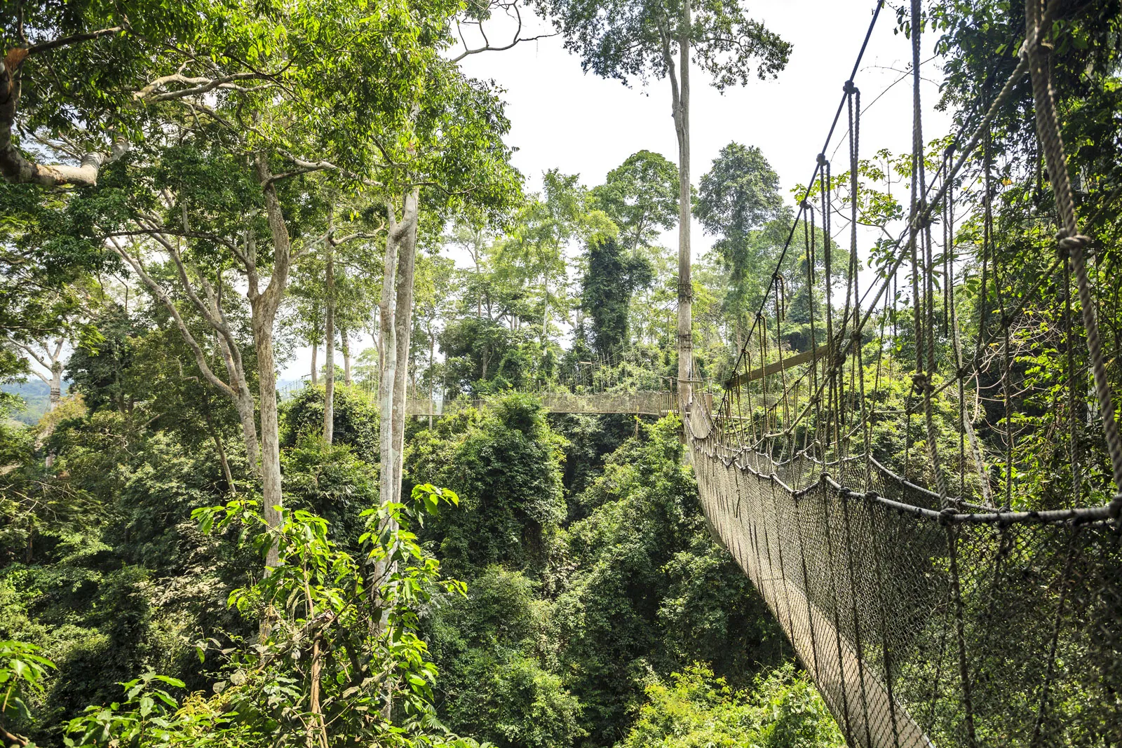 When Is the Best Time to Visit Ghana? A Complete Travel Guide