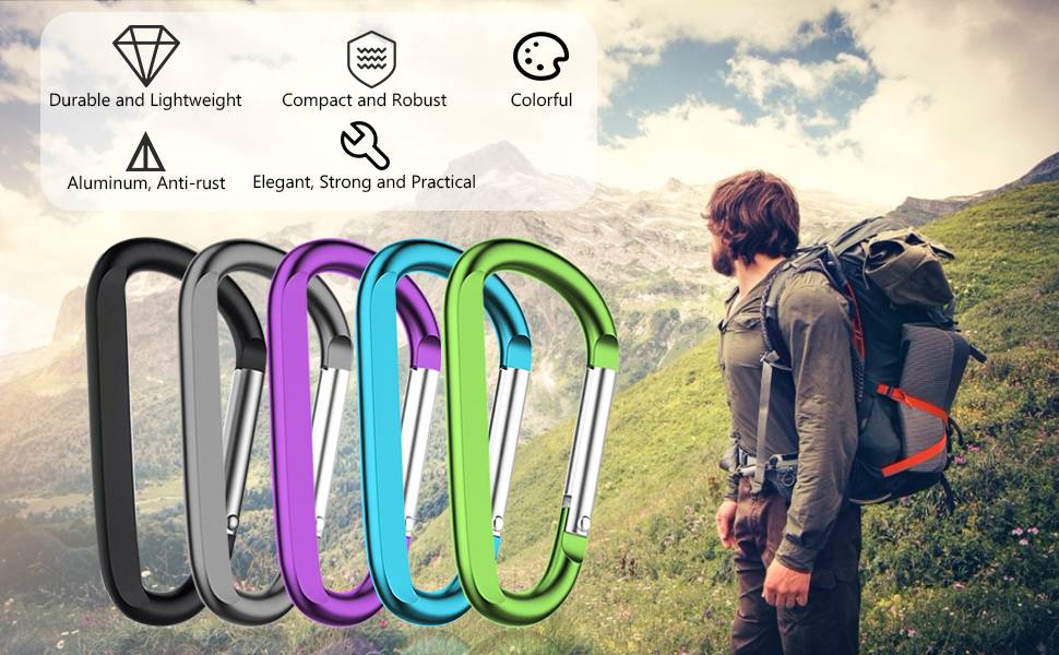 Carabiner Clip