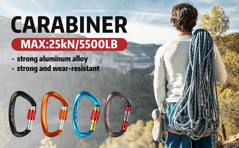 Carabiner Clips