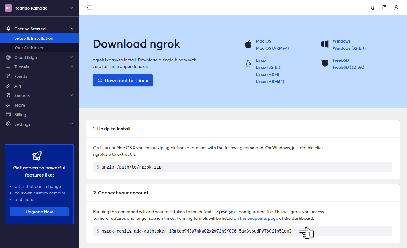 ngrok - Setup & Instalation