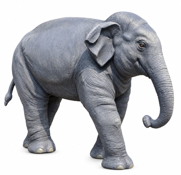 Elephant calf by SDM ART