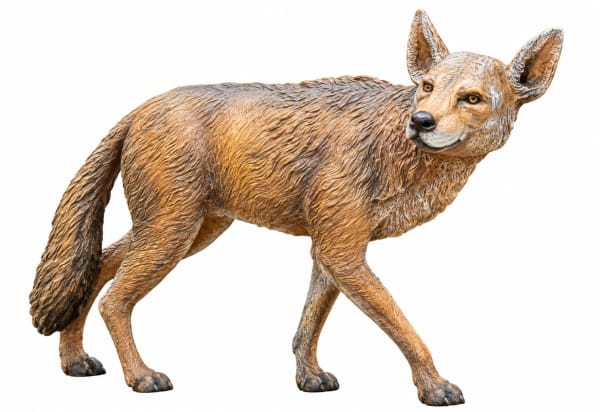 Fox by SDM ART