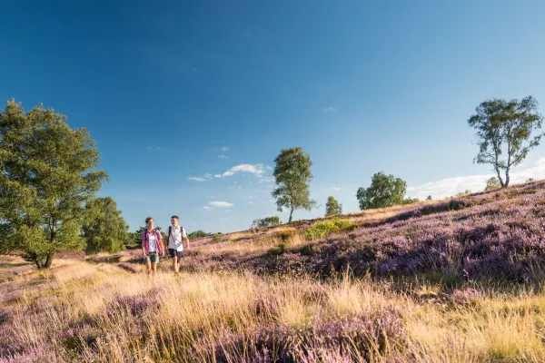 Vandring Lüneburger