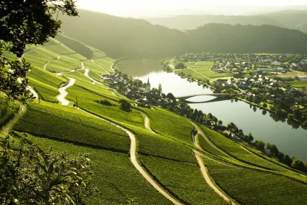 Vandring Mosel