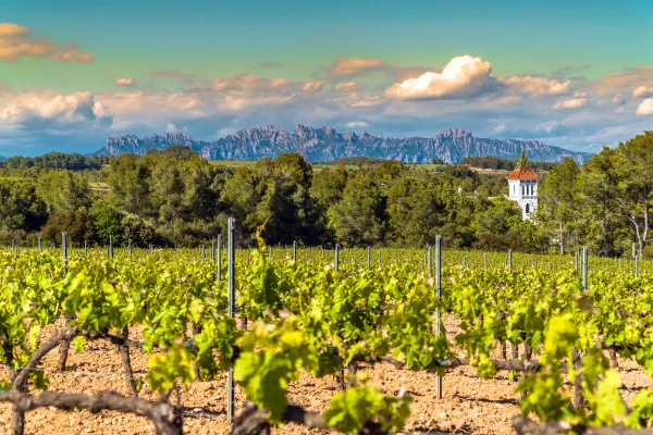 Katalonien Mat & Vin