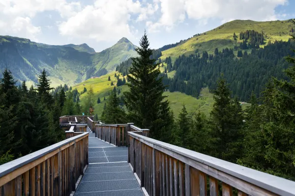 Vandring Saalbach - 8 dagar