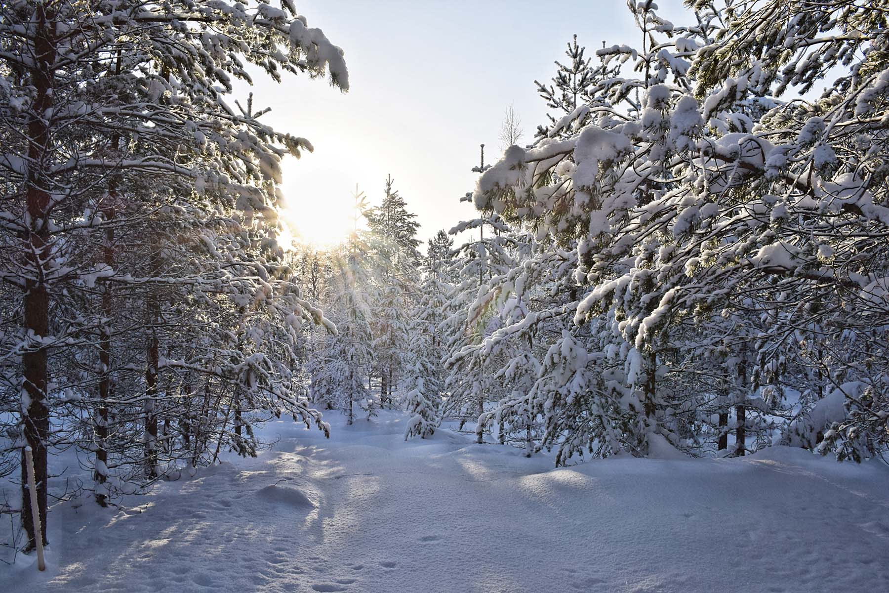 Jokkmokks marknad flyg Rolfs Flyg & Bussresor