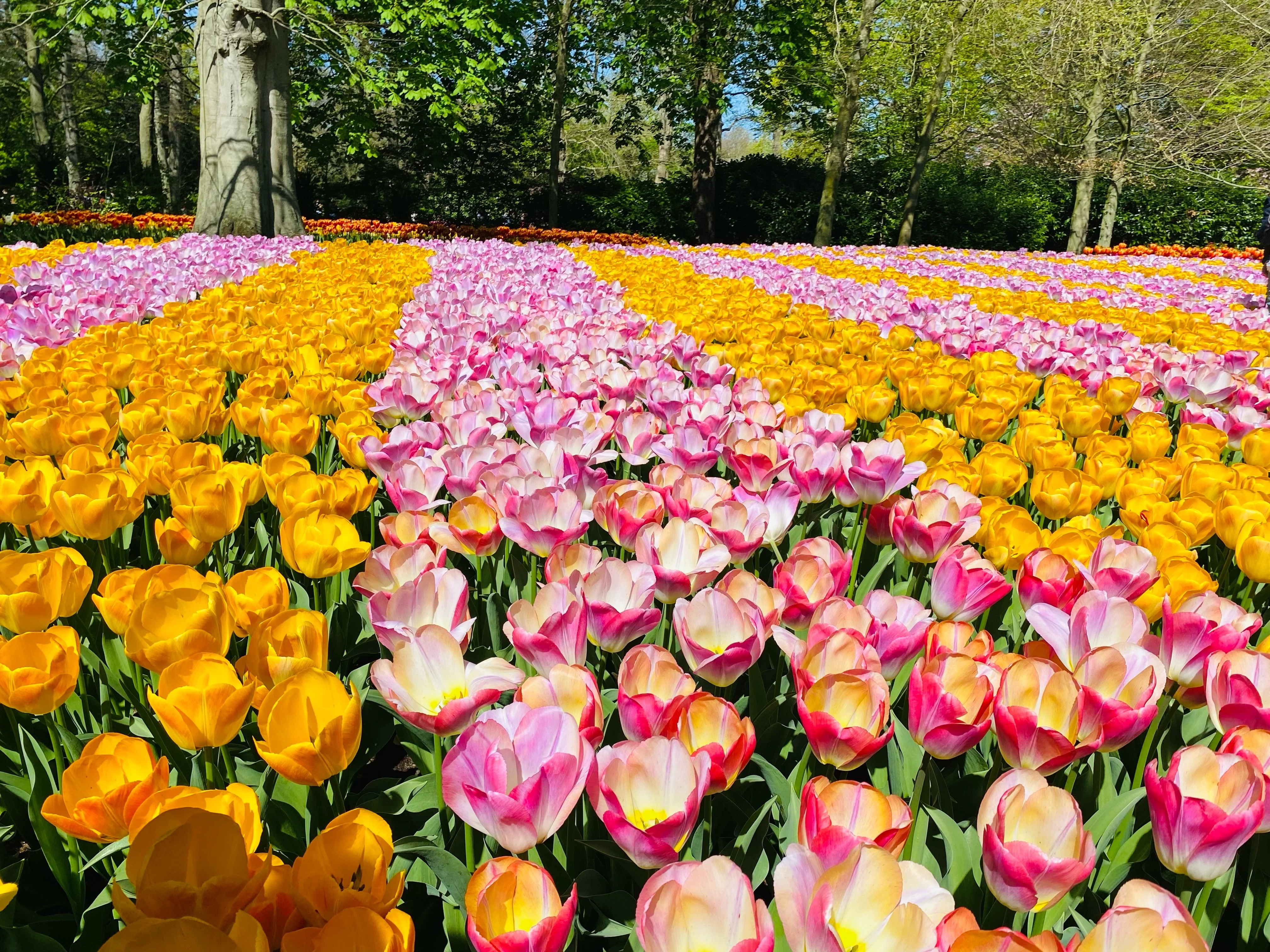 Hitta tips & inspiration