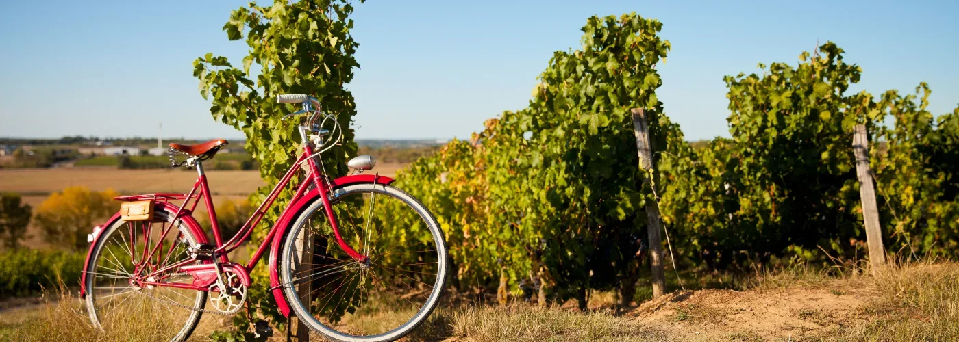 Rolfs Flyg & Bussresor AB