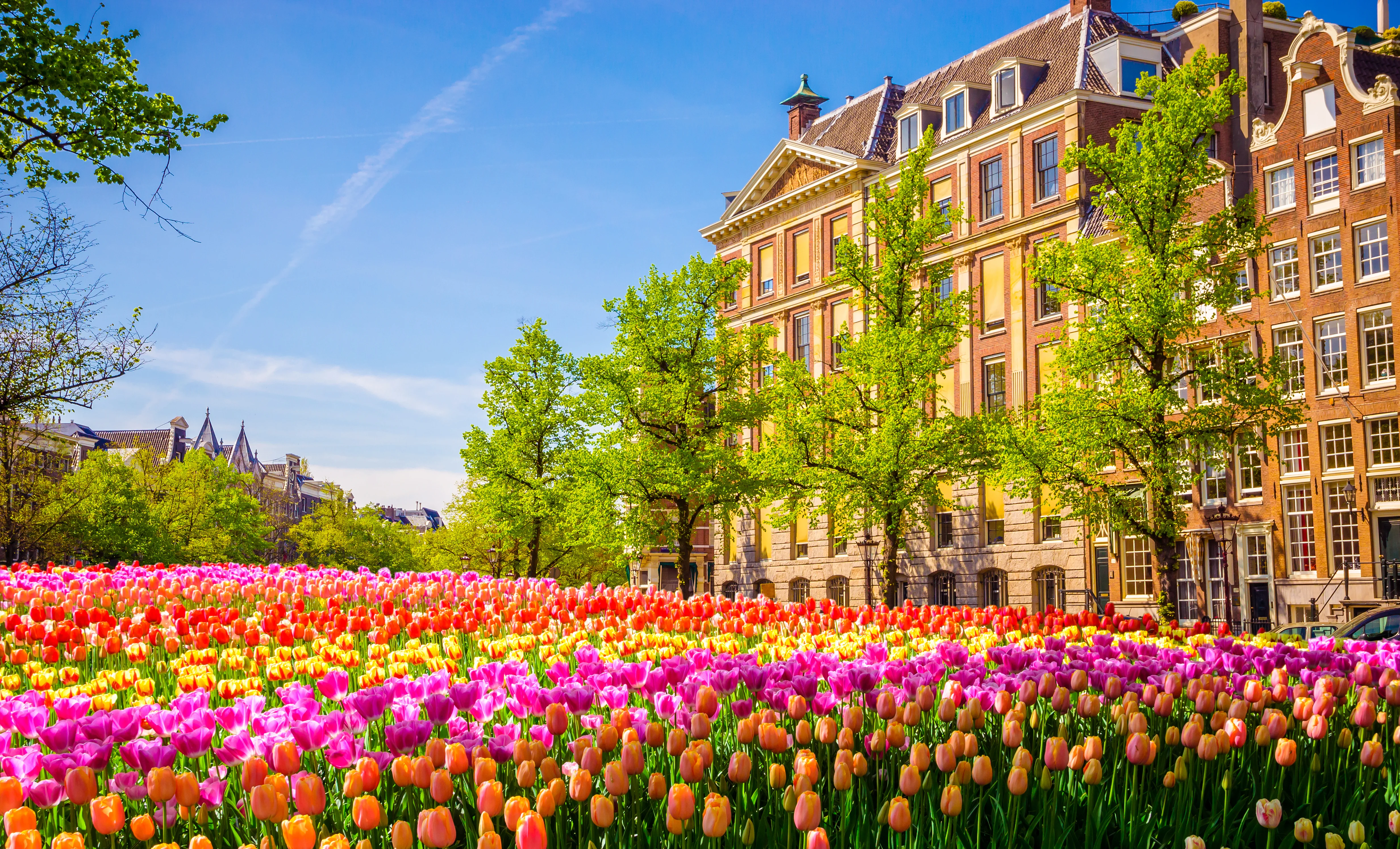 Rolfs Flyg & Bussresor AB