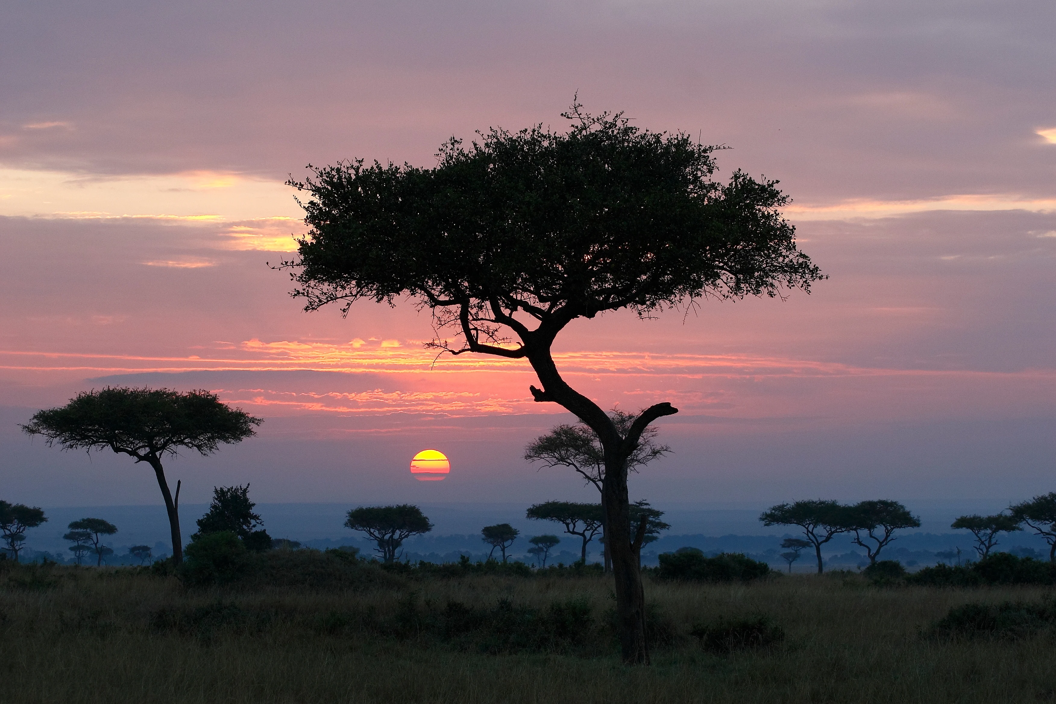 Rolfs Flyg & Bussresor AB