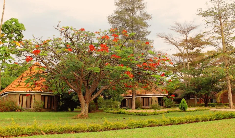 Rolfs Flyg & Bussresor AB