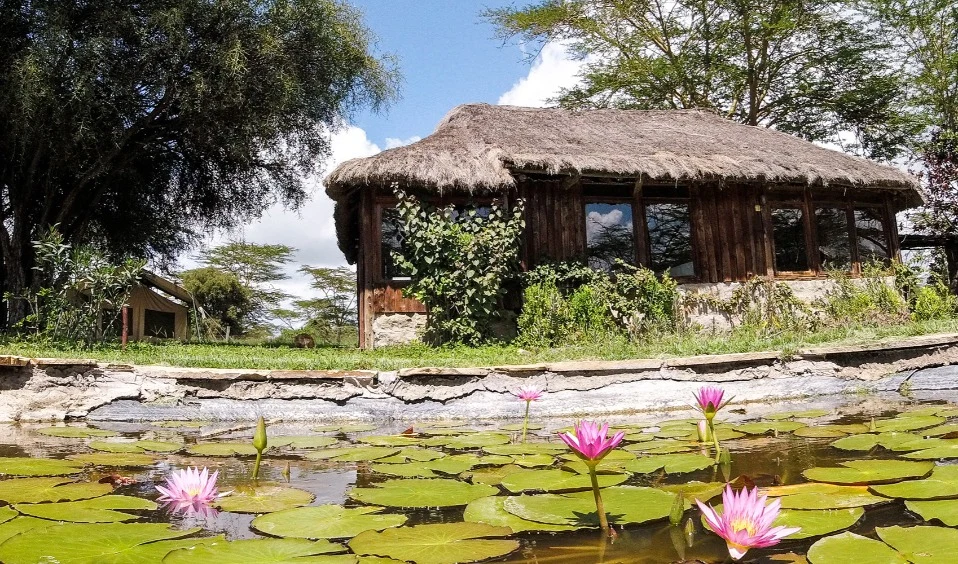 Rolfs Flyg & Bussresor AB