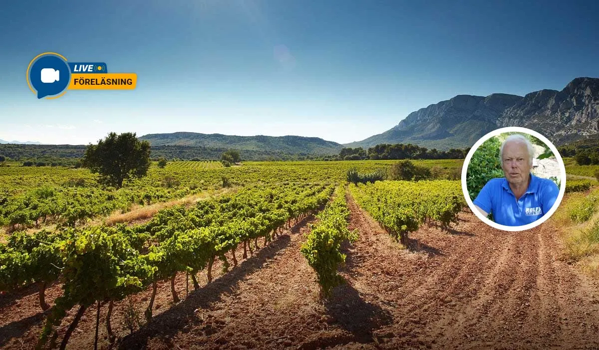 Föreläsning: Champagne