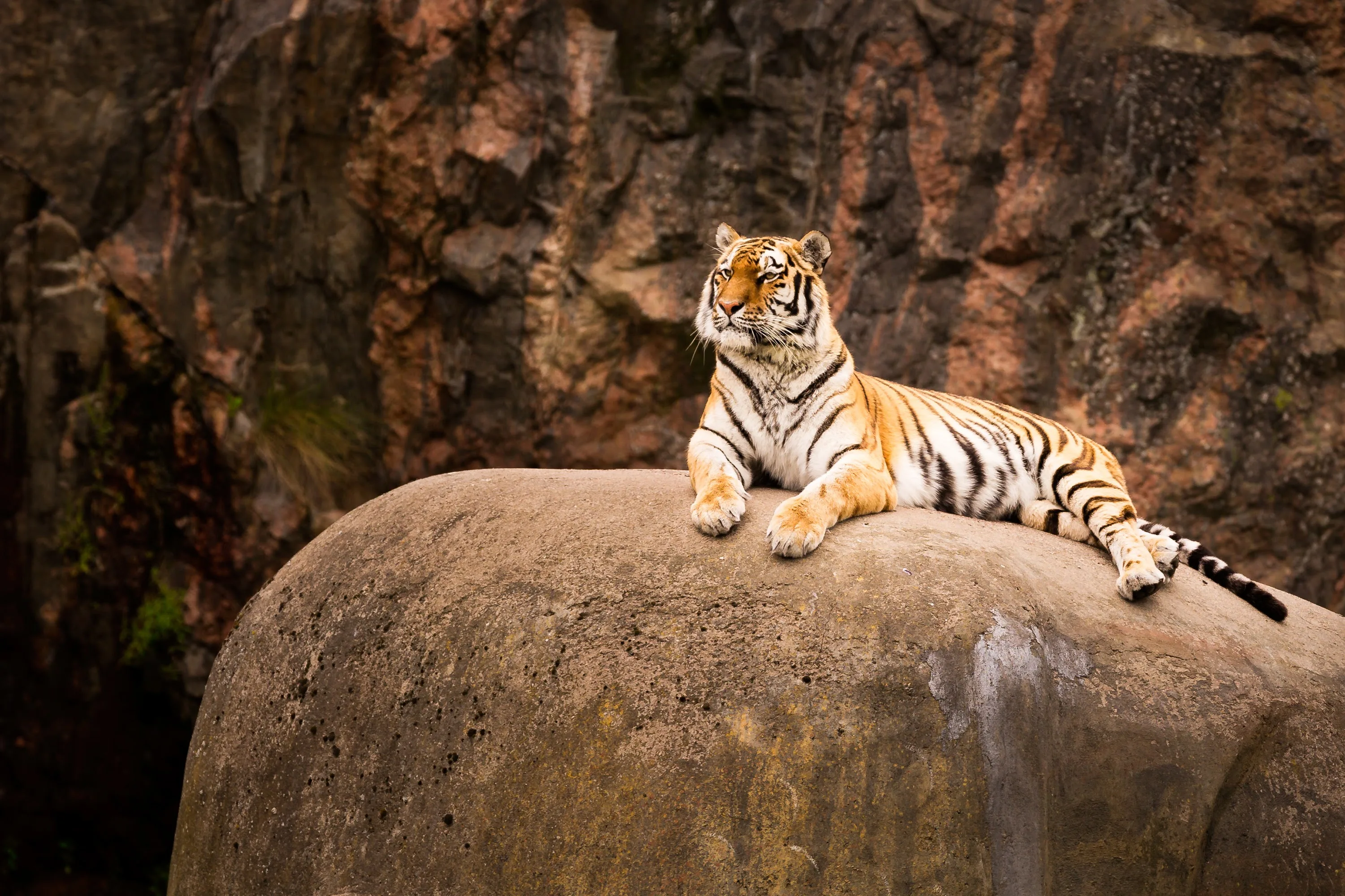 Busscamping Kolmården