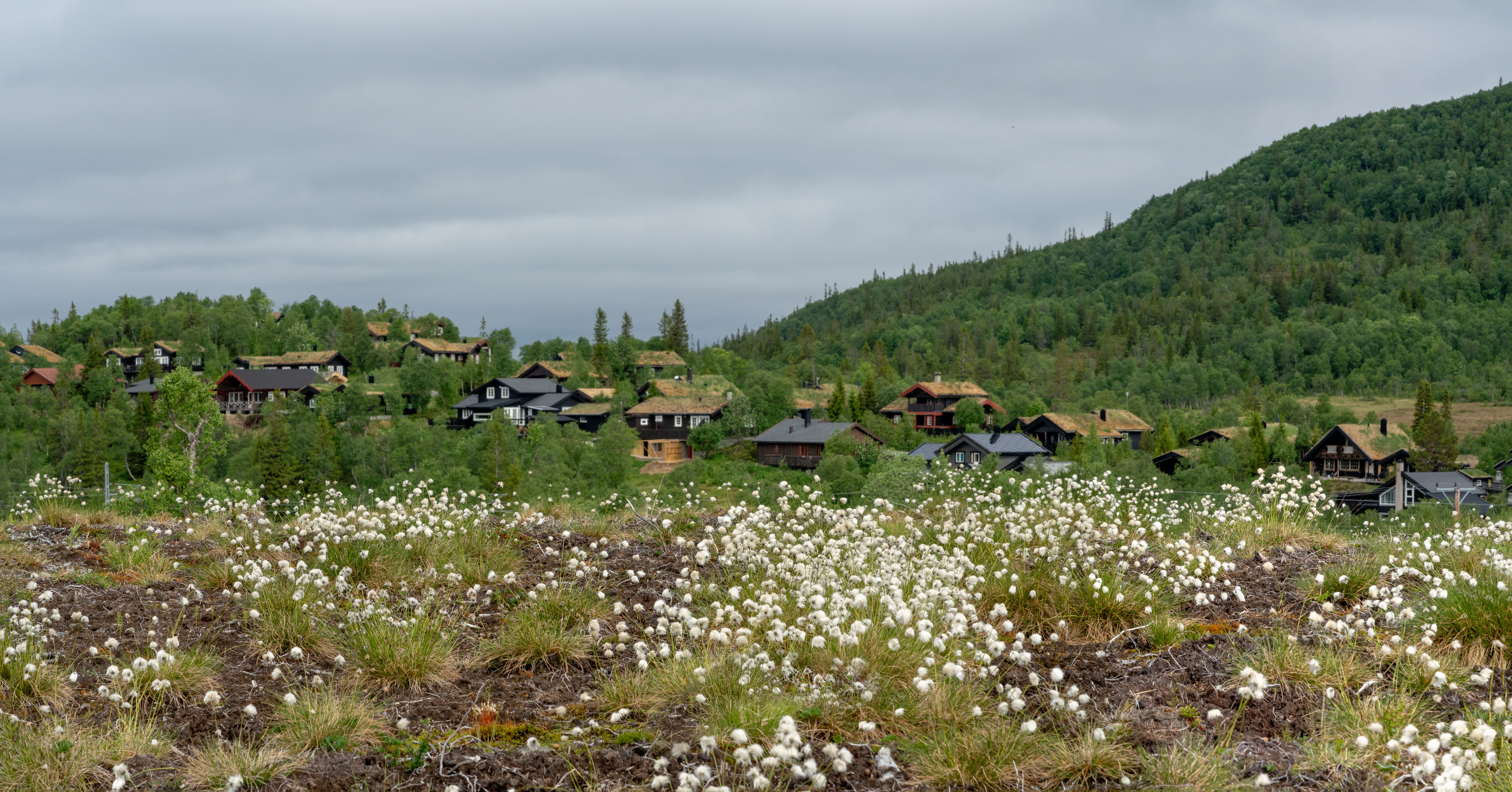 Fjordar, fjäll och dalar