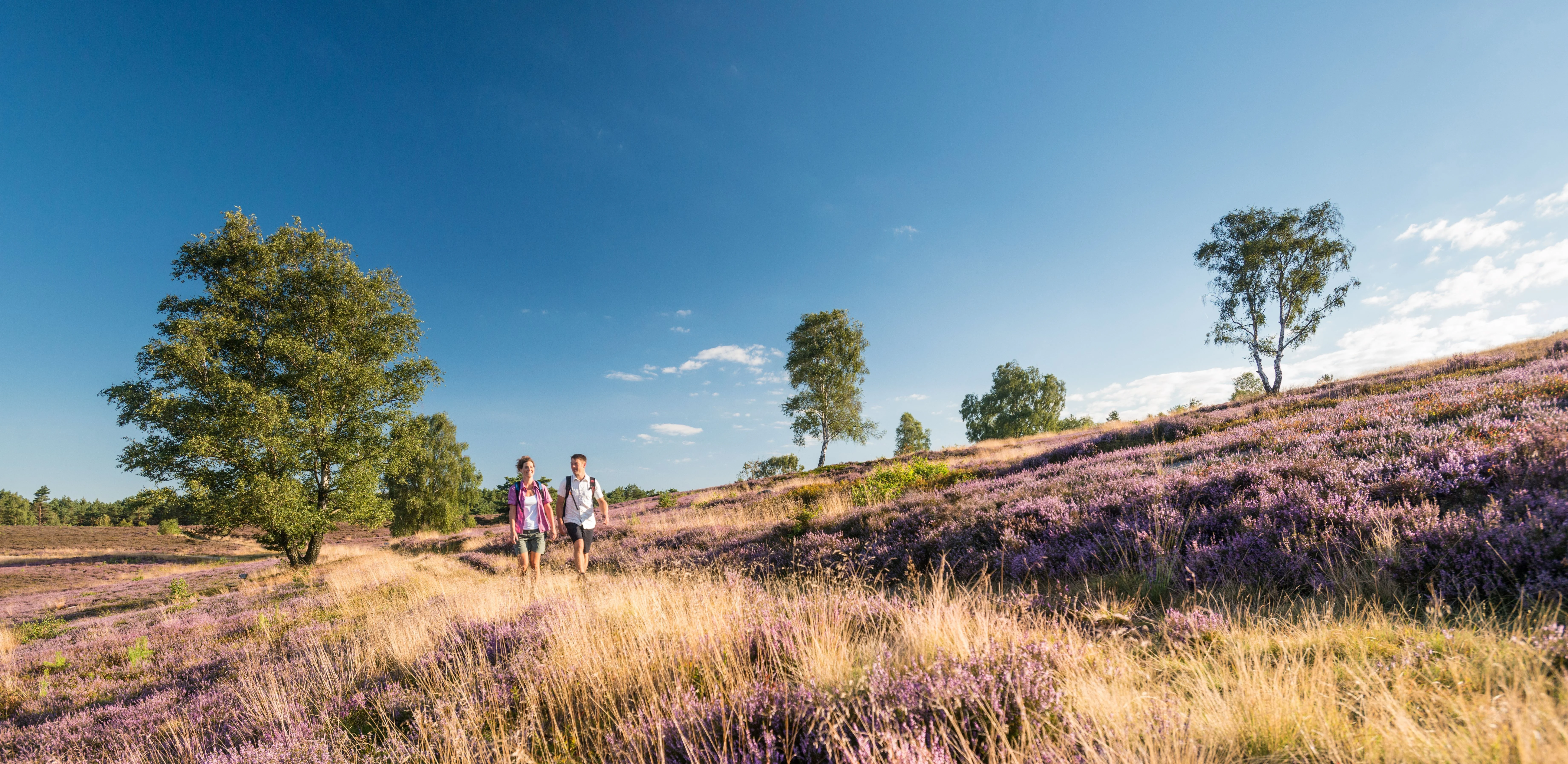Vandring Lüneburger 