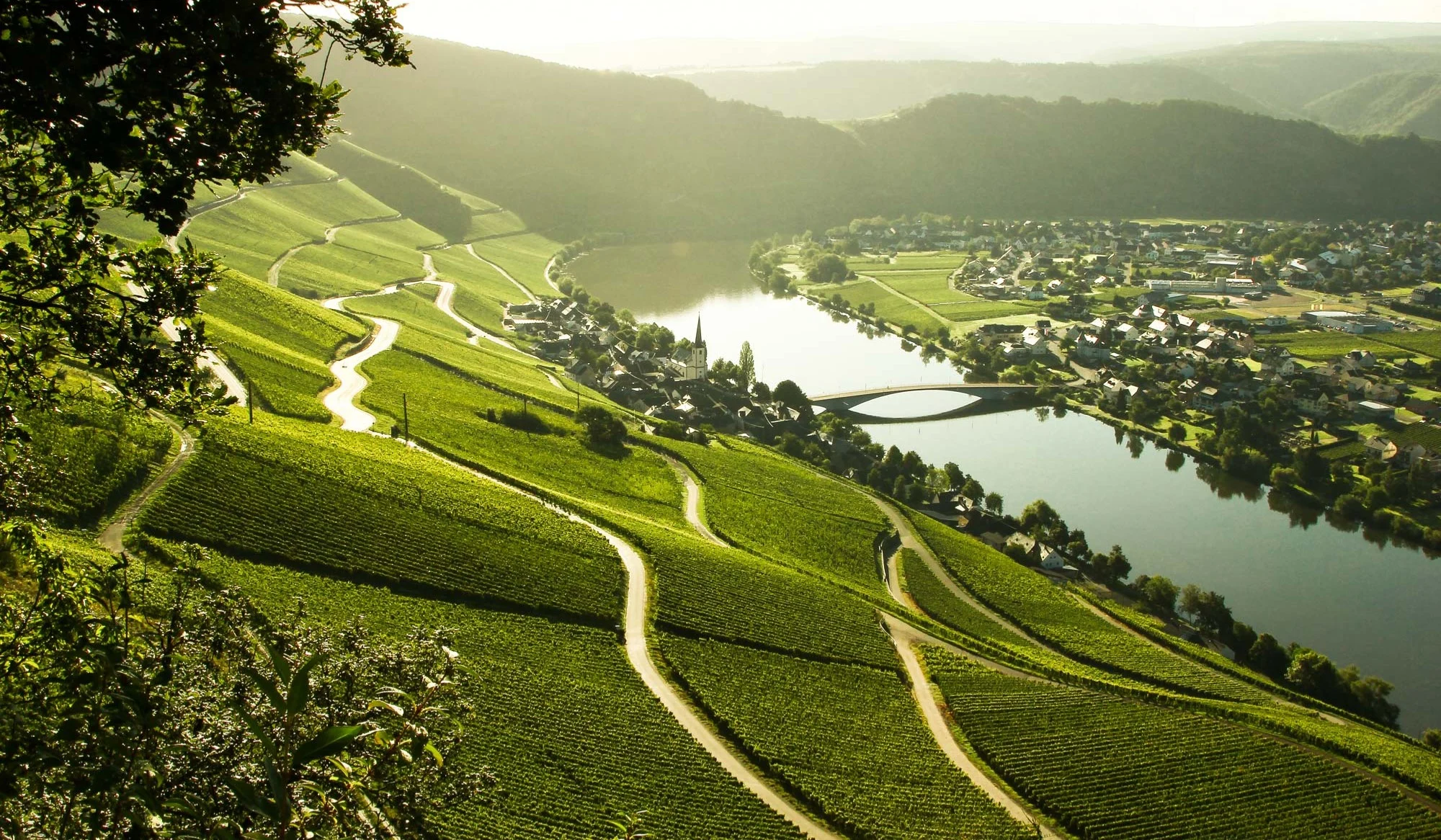 Vandring Mosel