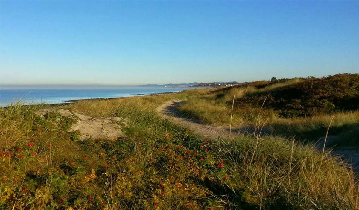 Dagstur vandring Kullahalvön