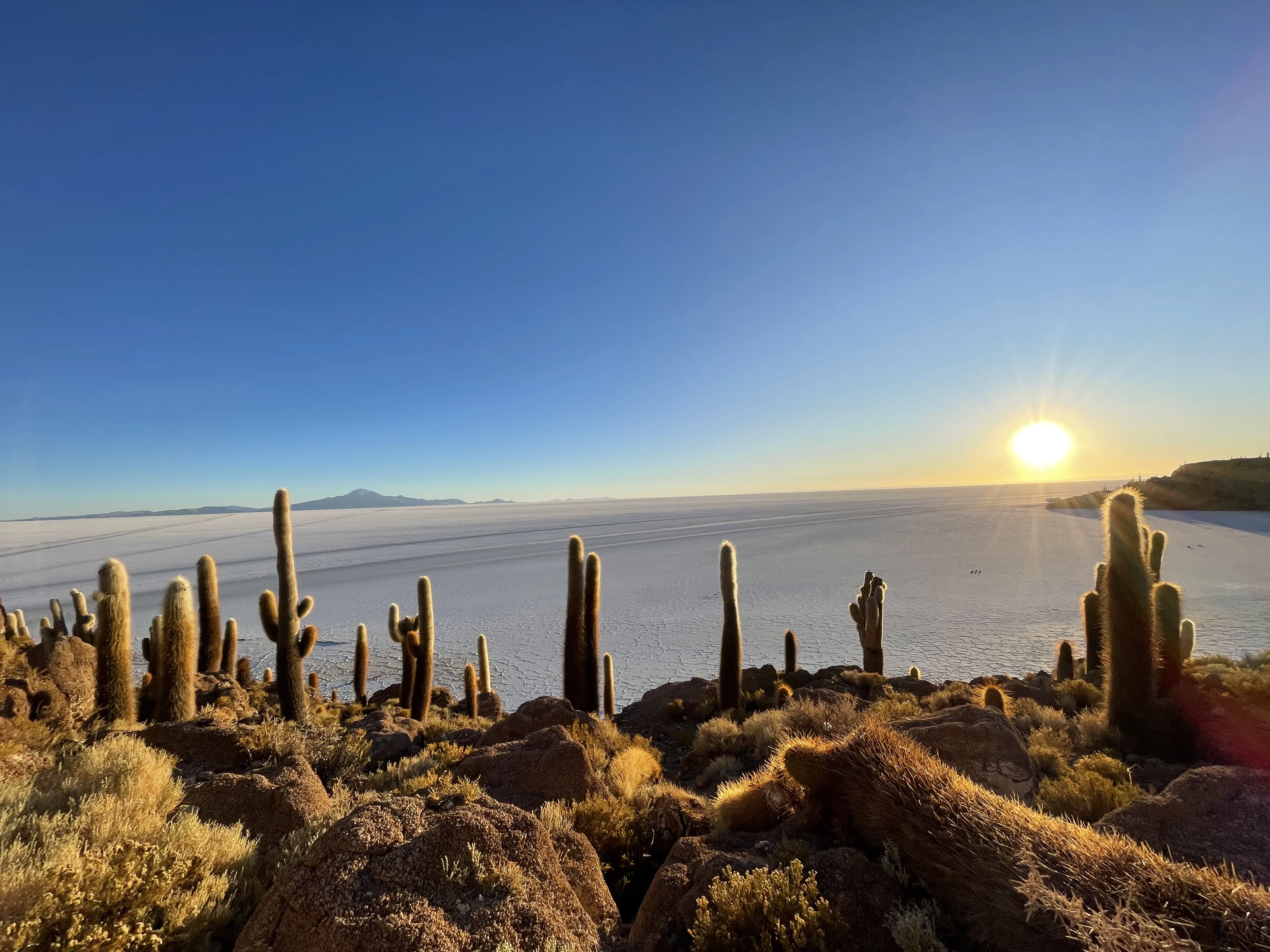 I Inkarikets fotspår