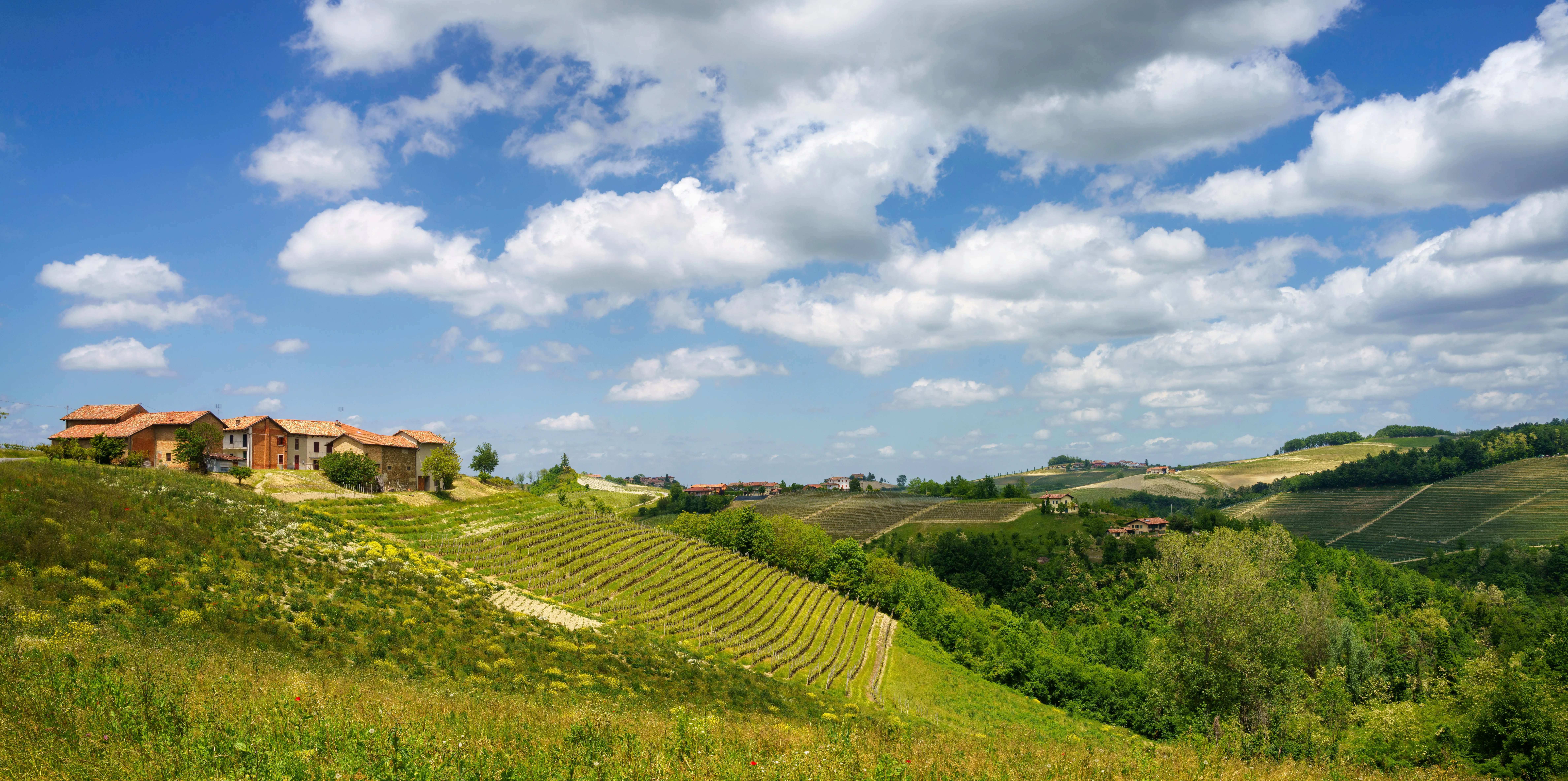 Fottur & Vin Piemonte med Barolo