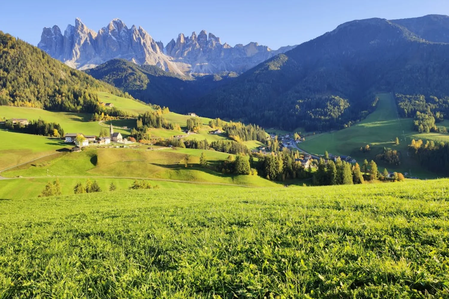 Høydal i Valun de Fanes med bekk og bratte fjellvegger