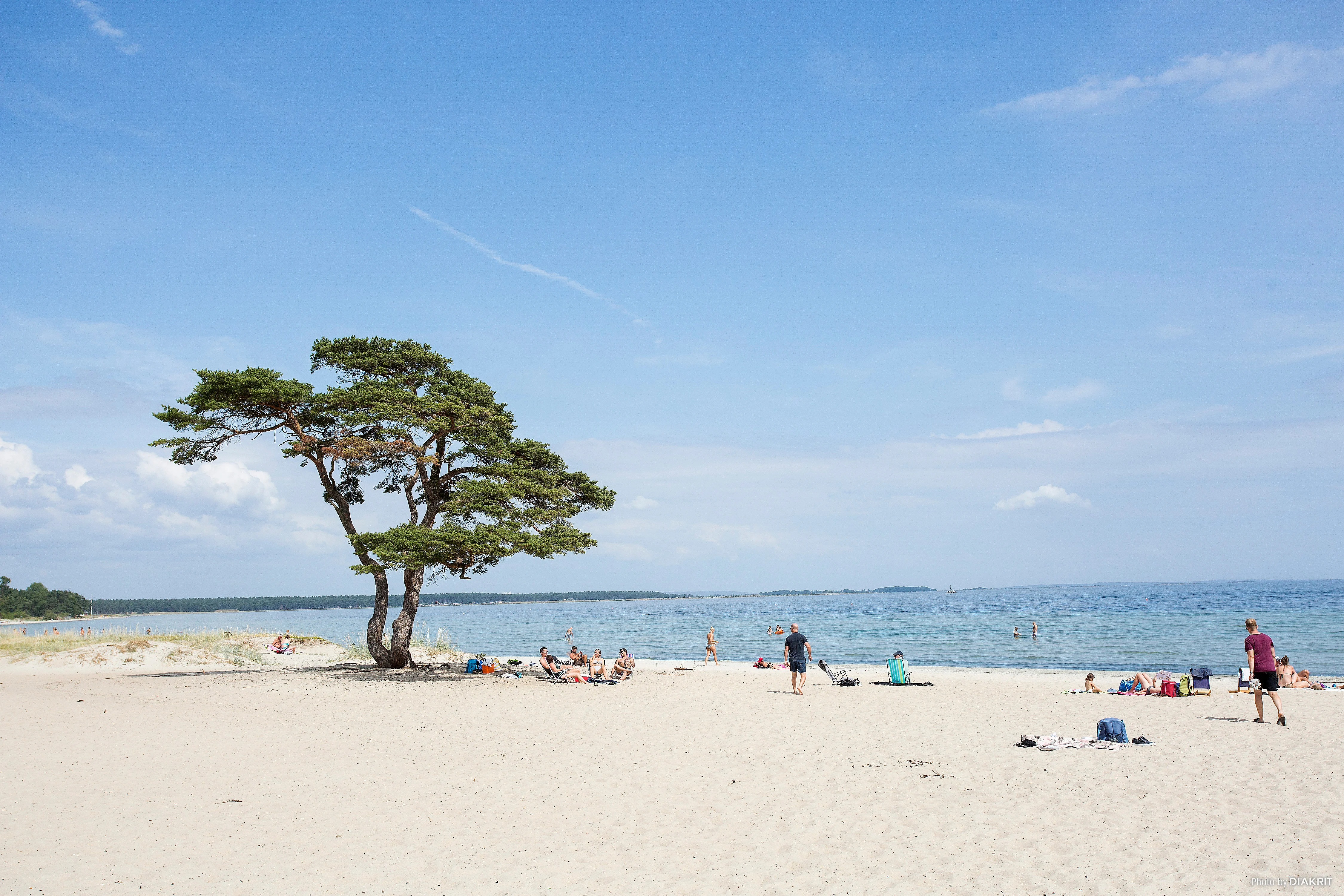 Busscamping Österlen