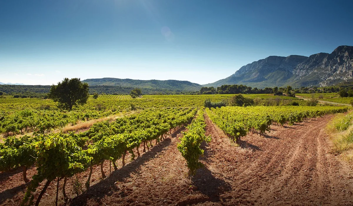 Claes-Håkan Abrahamsson