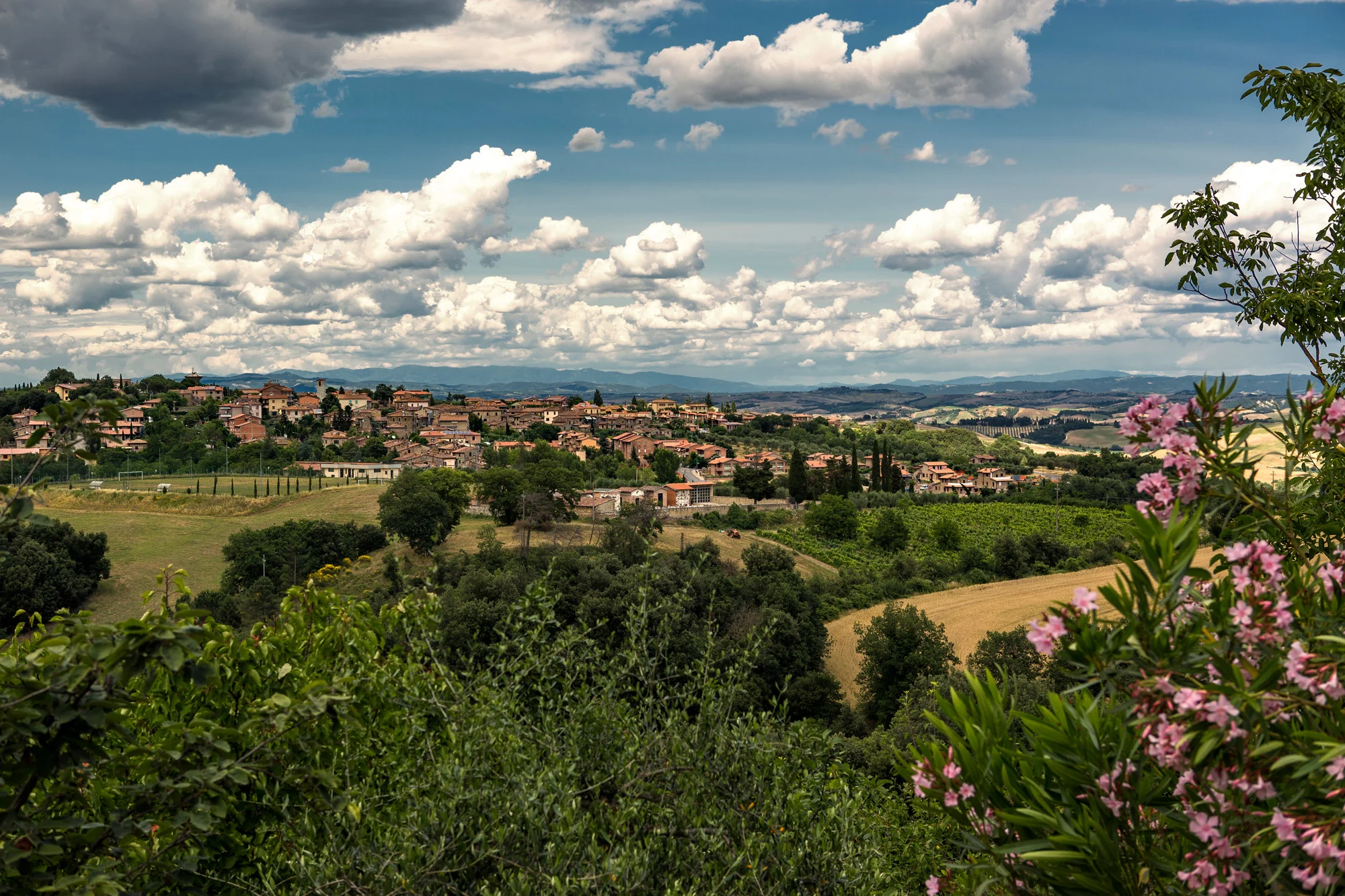 Rolfs Flyg & Bussresor AB