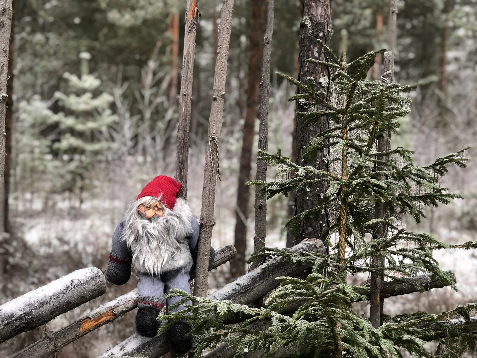 Brunskogs Julmarknad