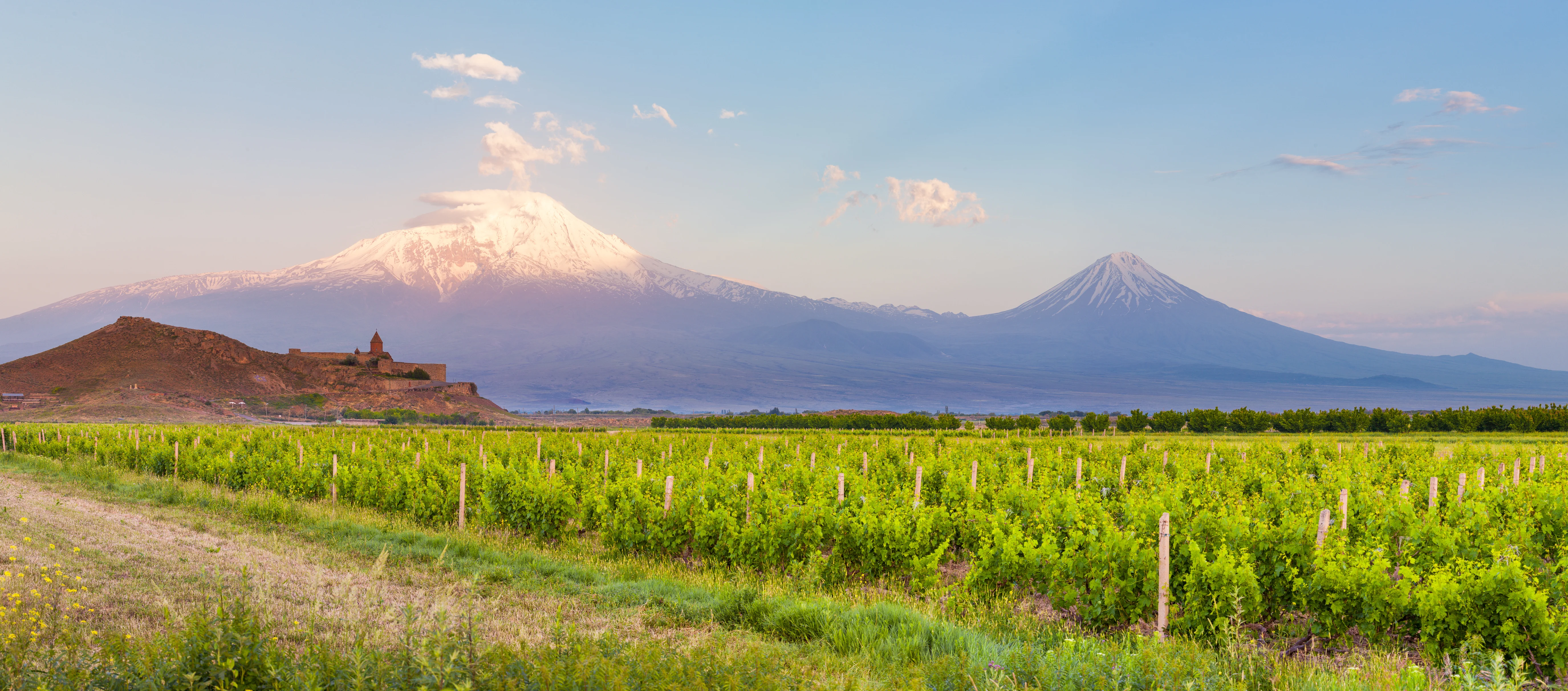 Armenien Vinresa