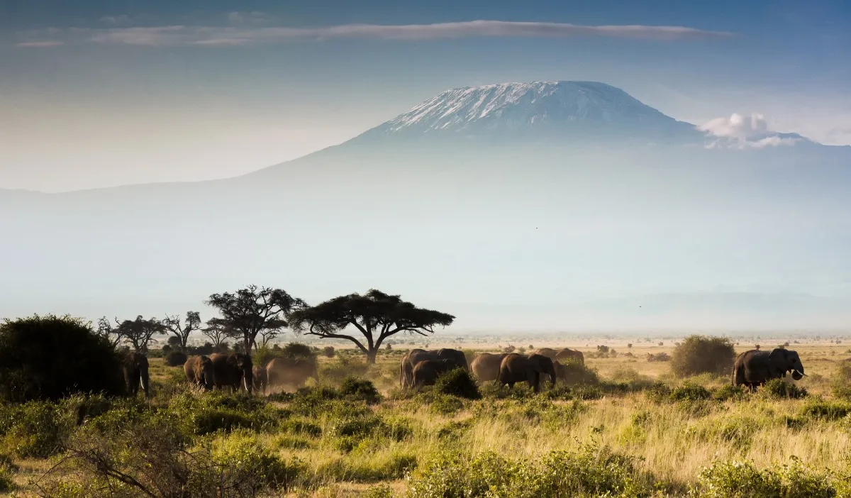 Kilimanjaro