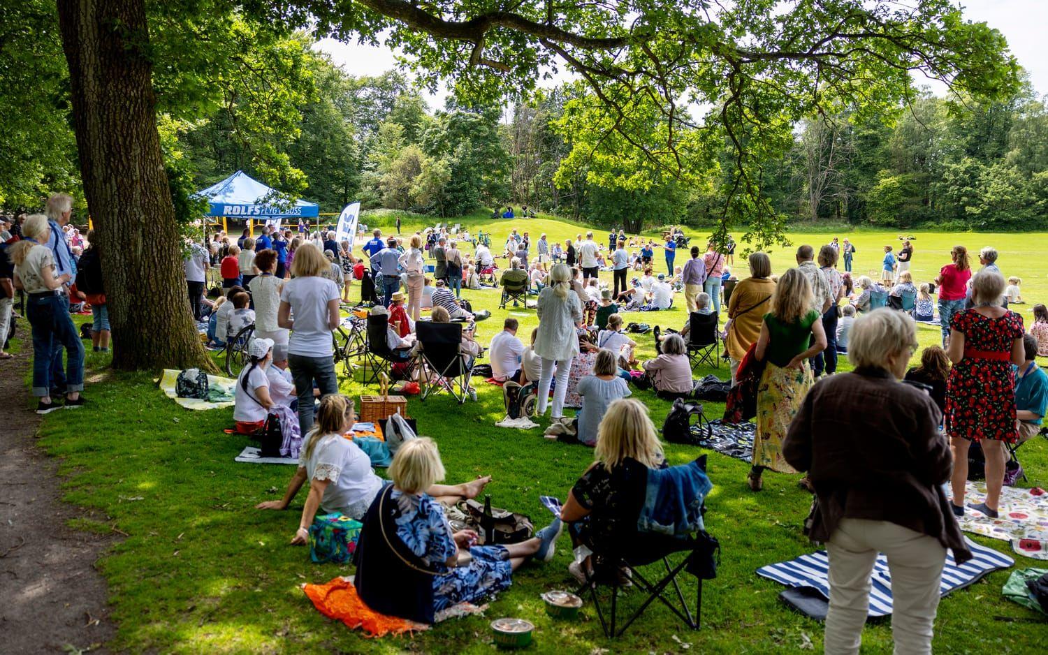 Bild från megapicknick - GP