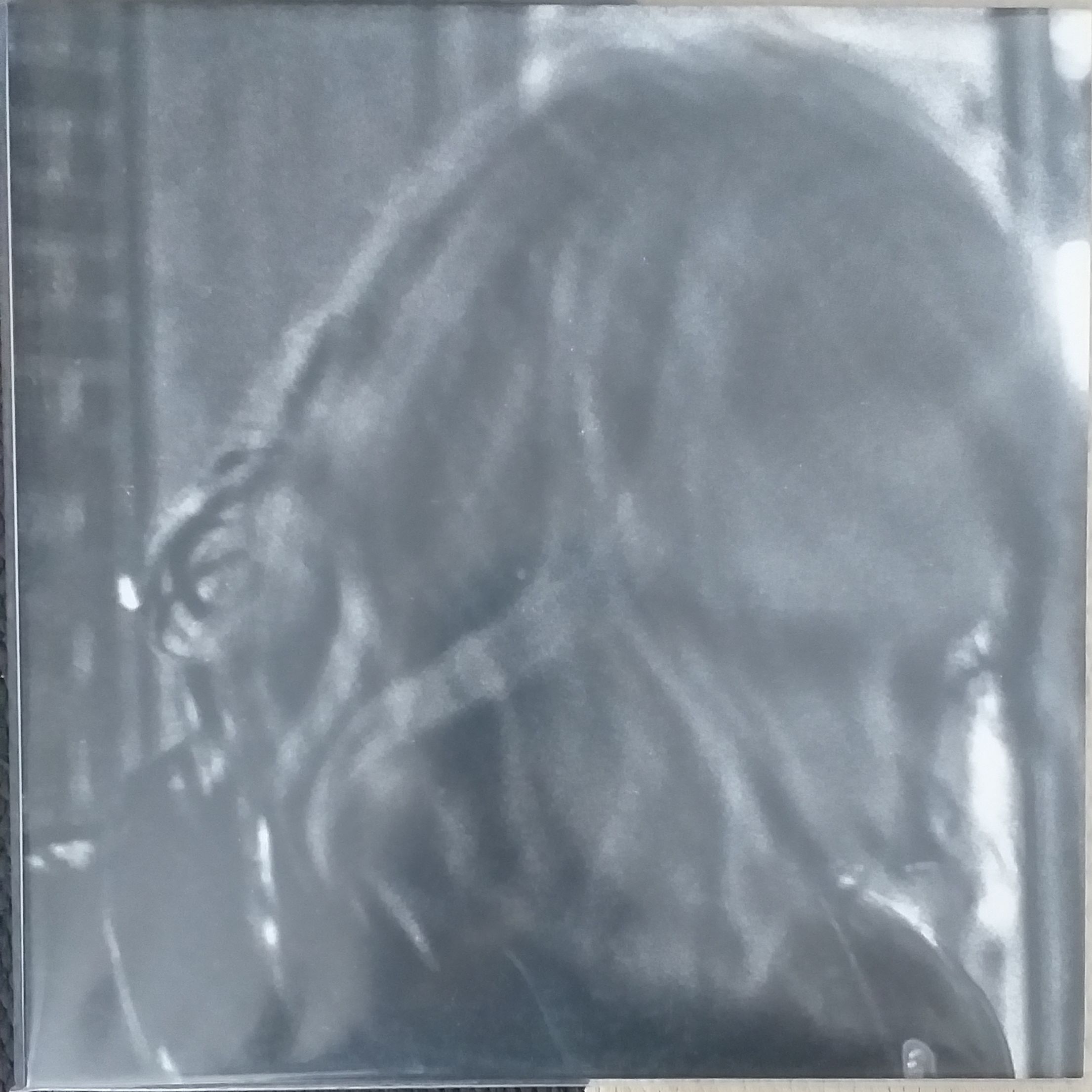 Ty Segall Ty Segall LP 