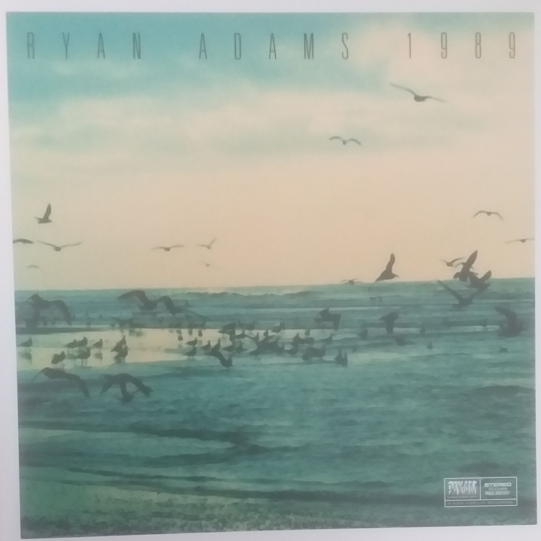 Ryan Adams  1989 LP 