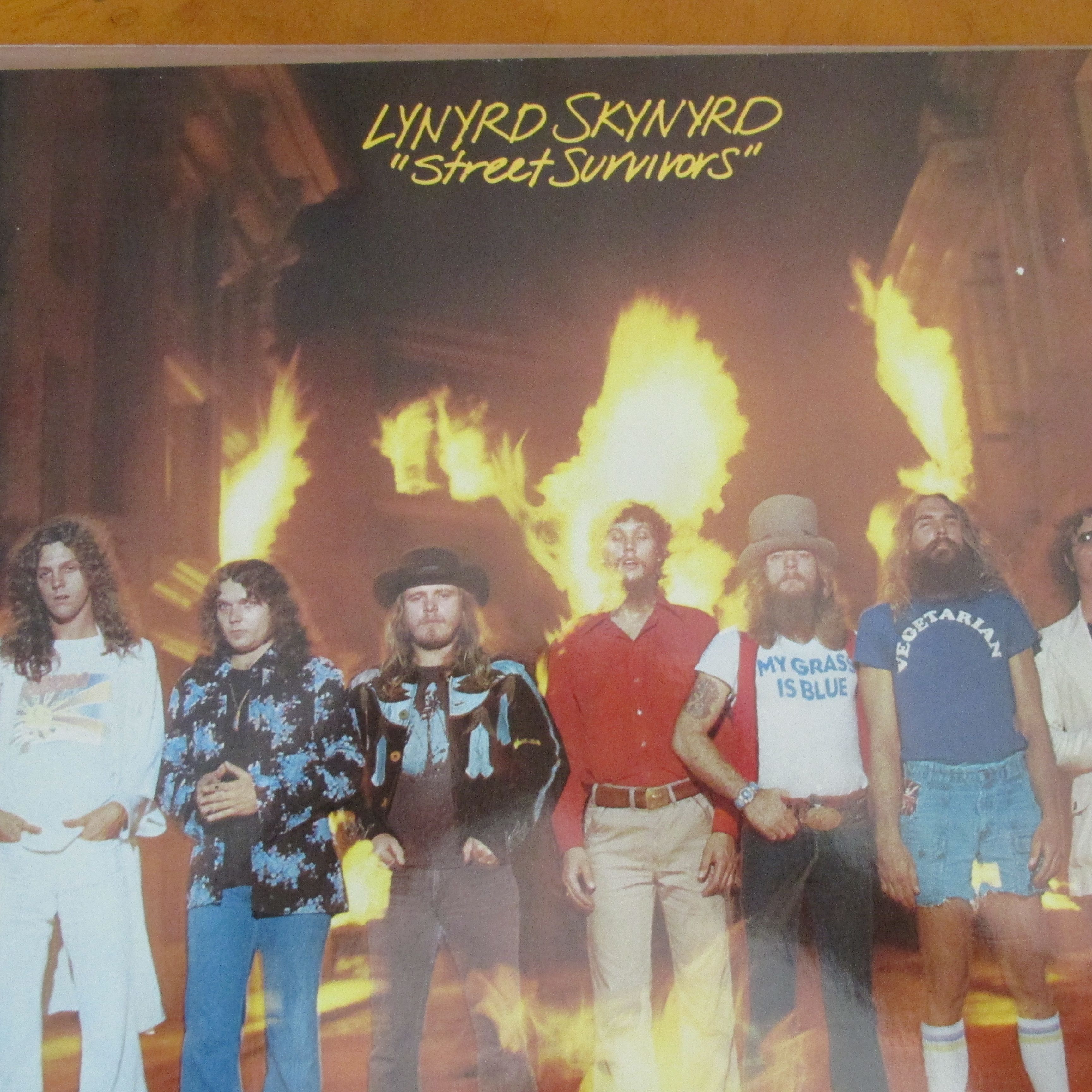 Lynyrd Skynyrd Street Survivors LP 