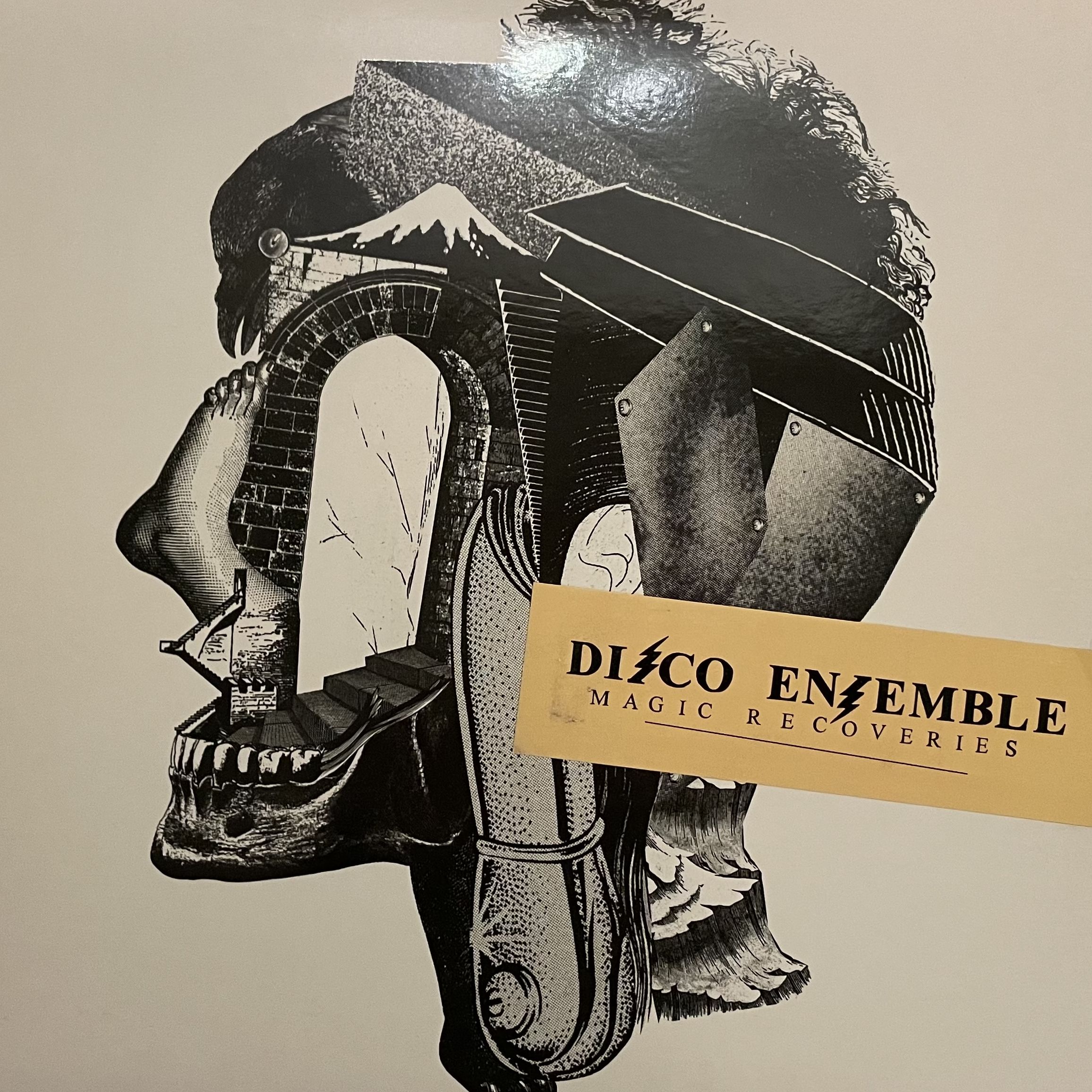 Disco Ensemble Magic Recoveries LP