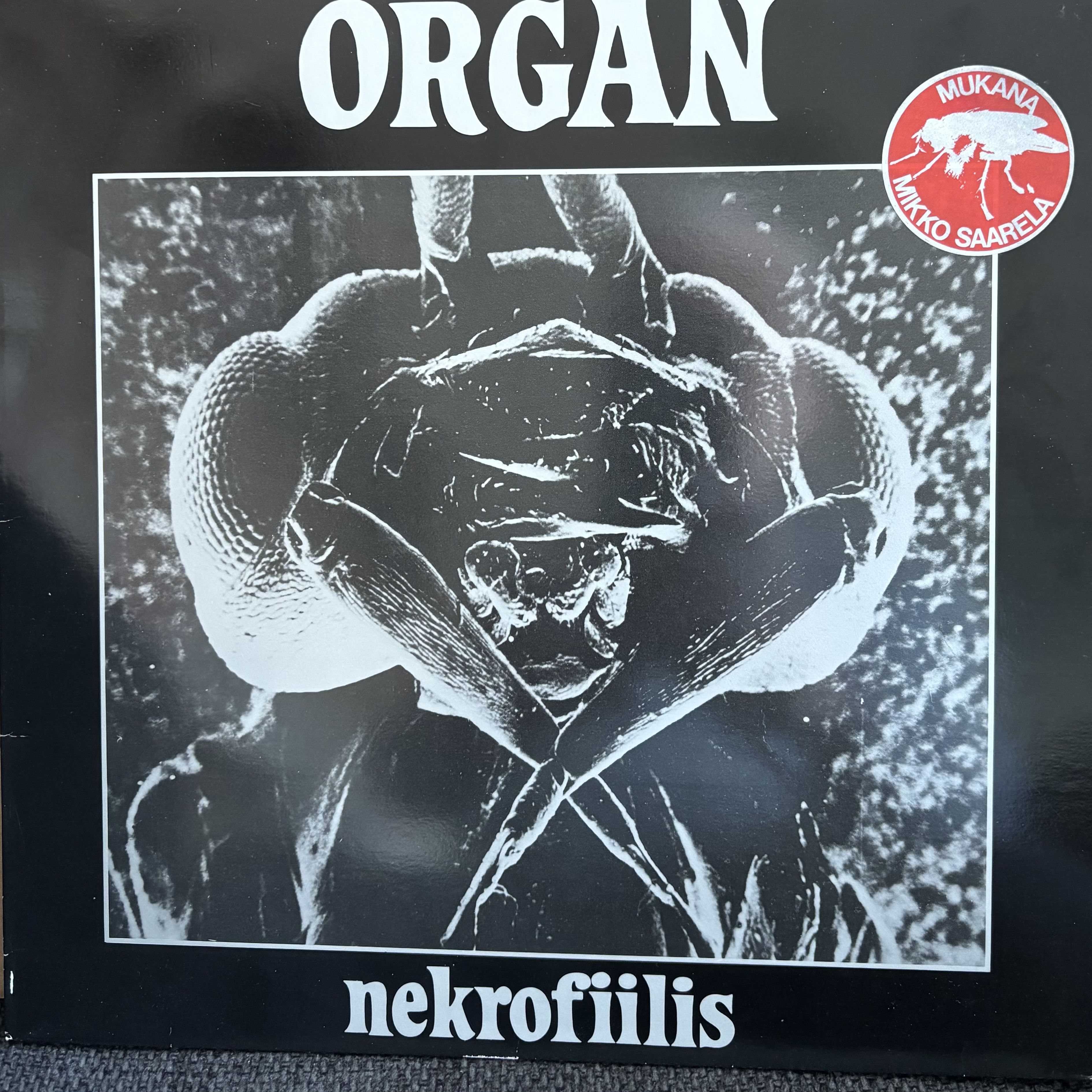 Organ Nekrofiilis LP
