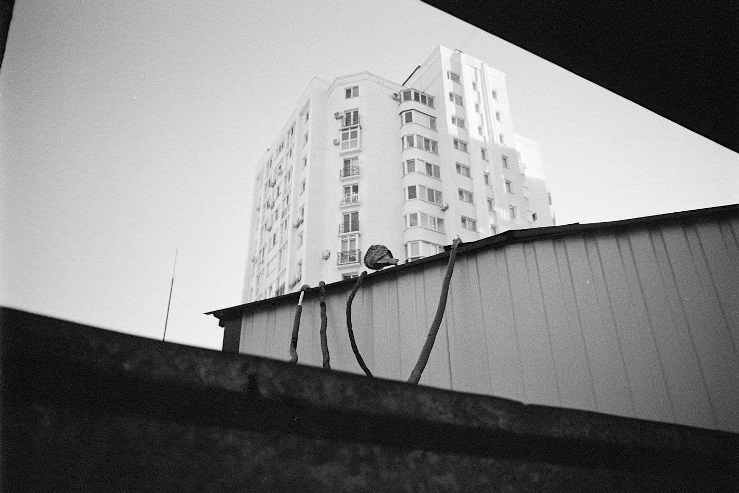 обмеженність