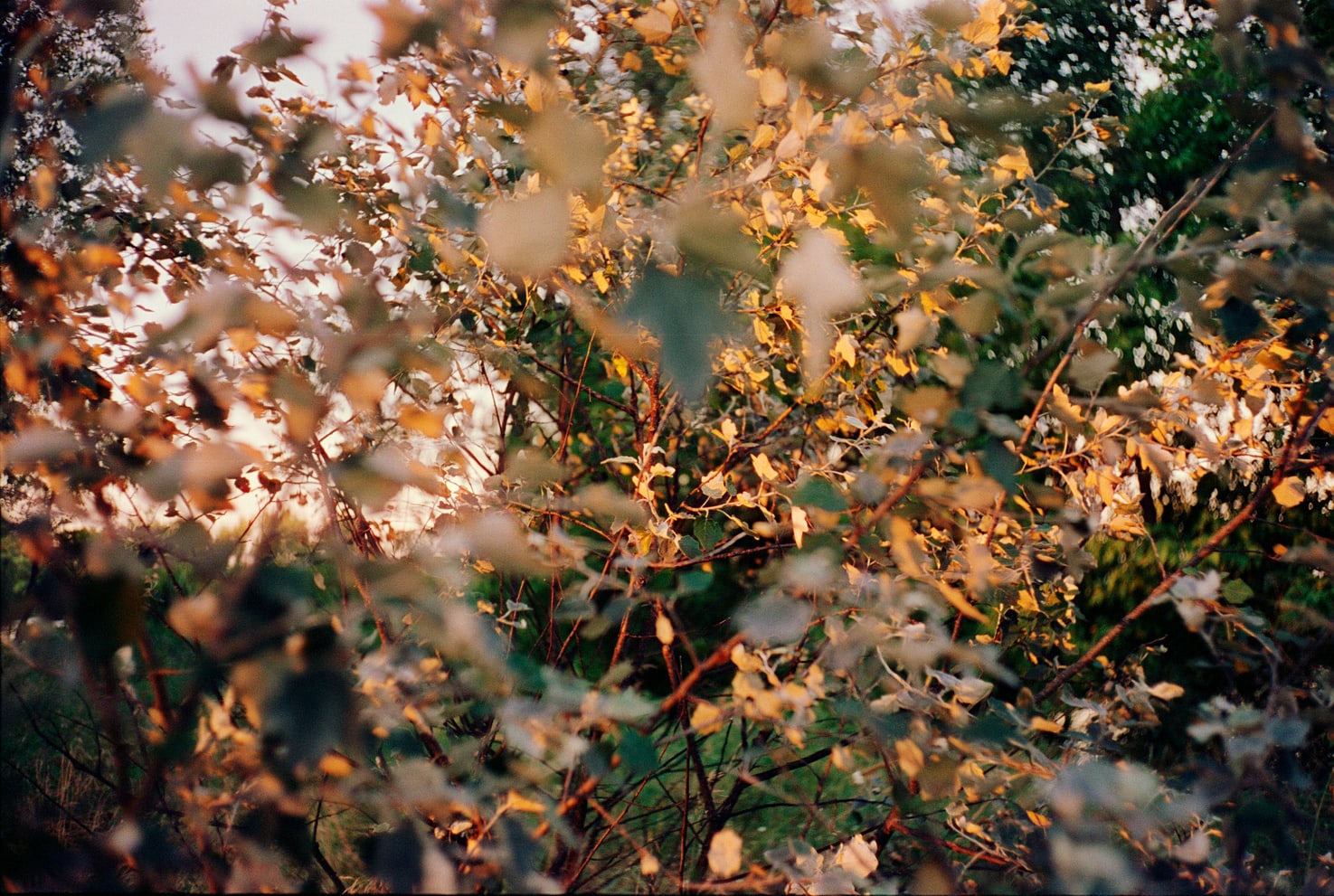 мерехтіння