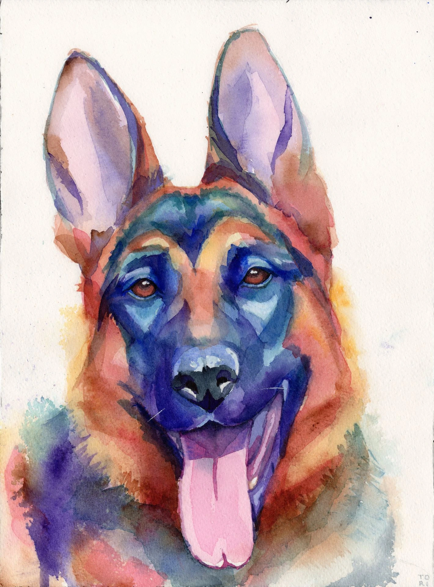 Thor the German Shepherd