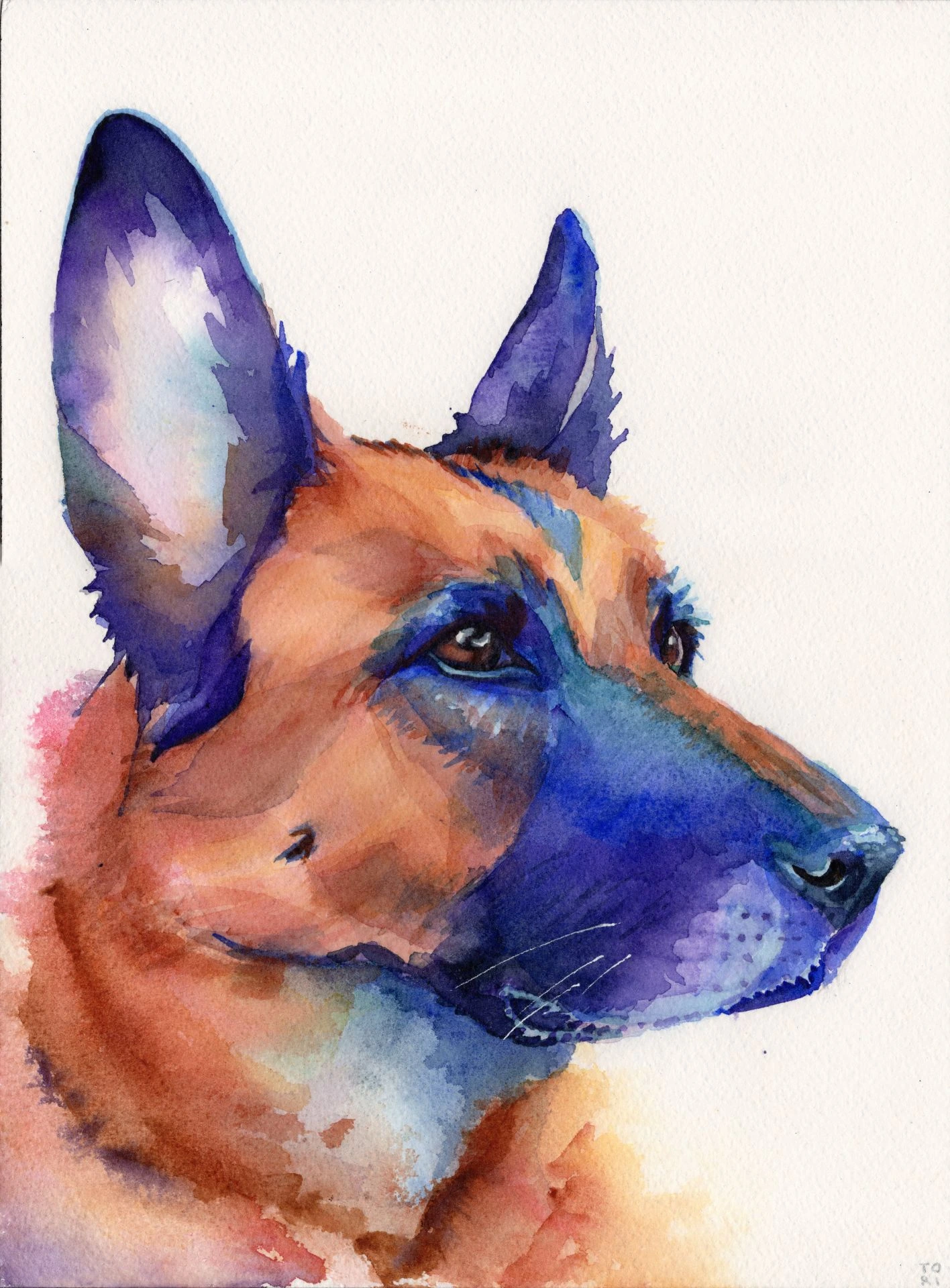 Vala the German Shepherd