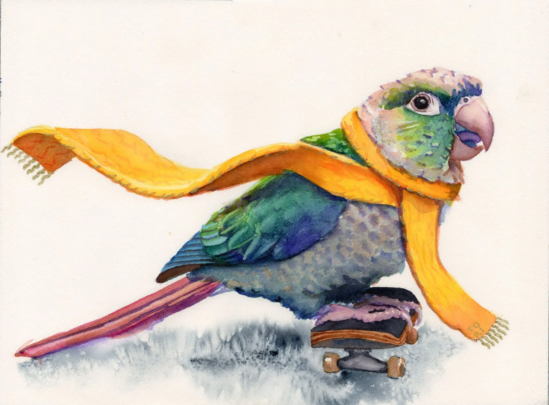 Skatebird