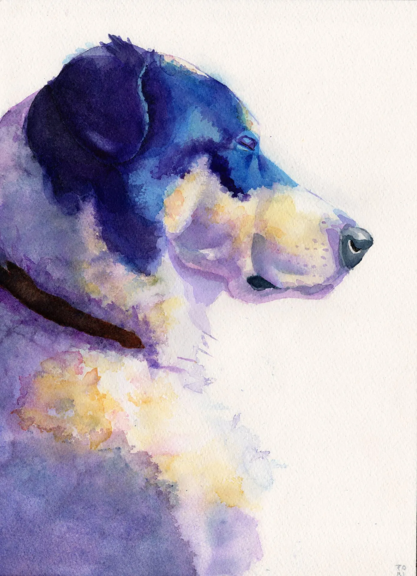 Enjoying the Warm Sun