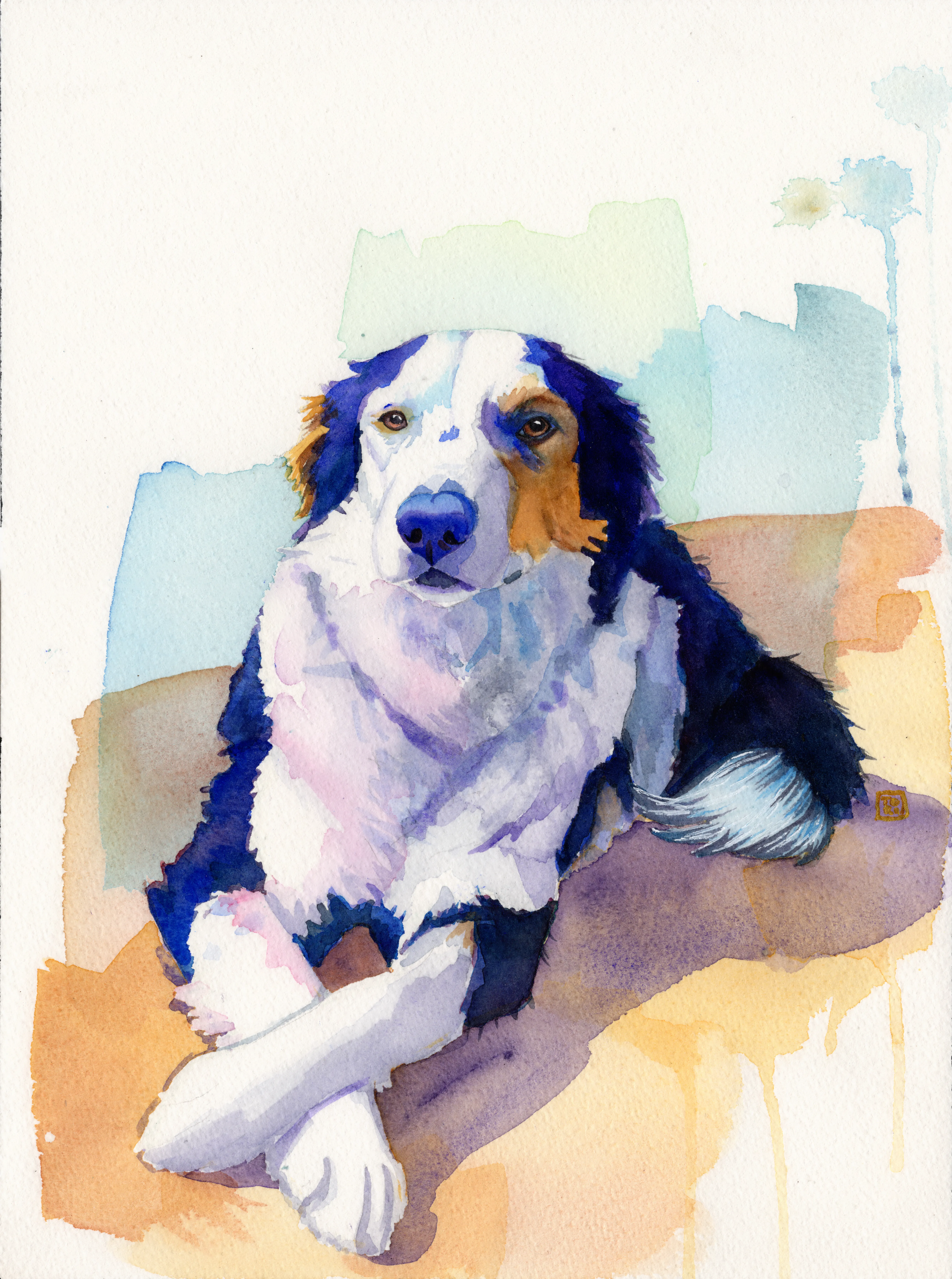 Outdoorsy 🥾 west of the Rockies ⛰️ beloved companion