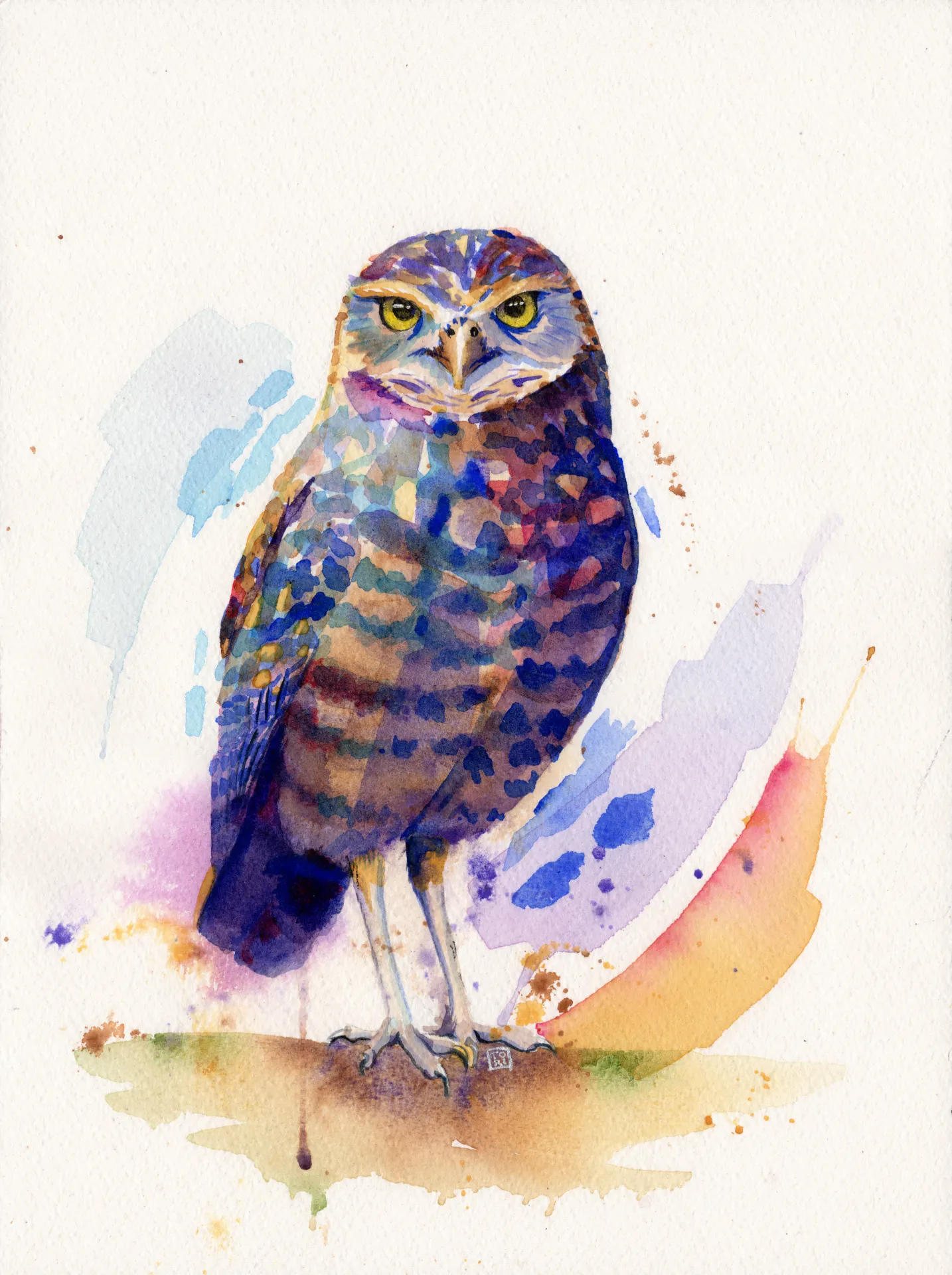 Burrowing Owl