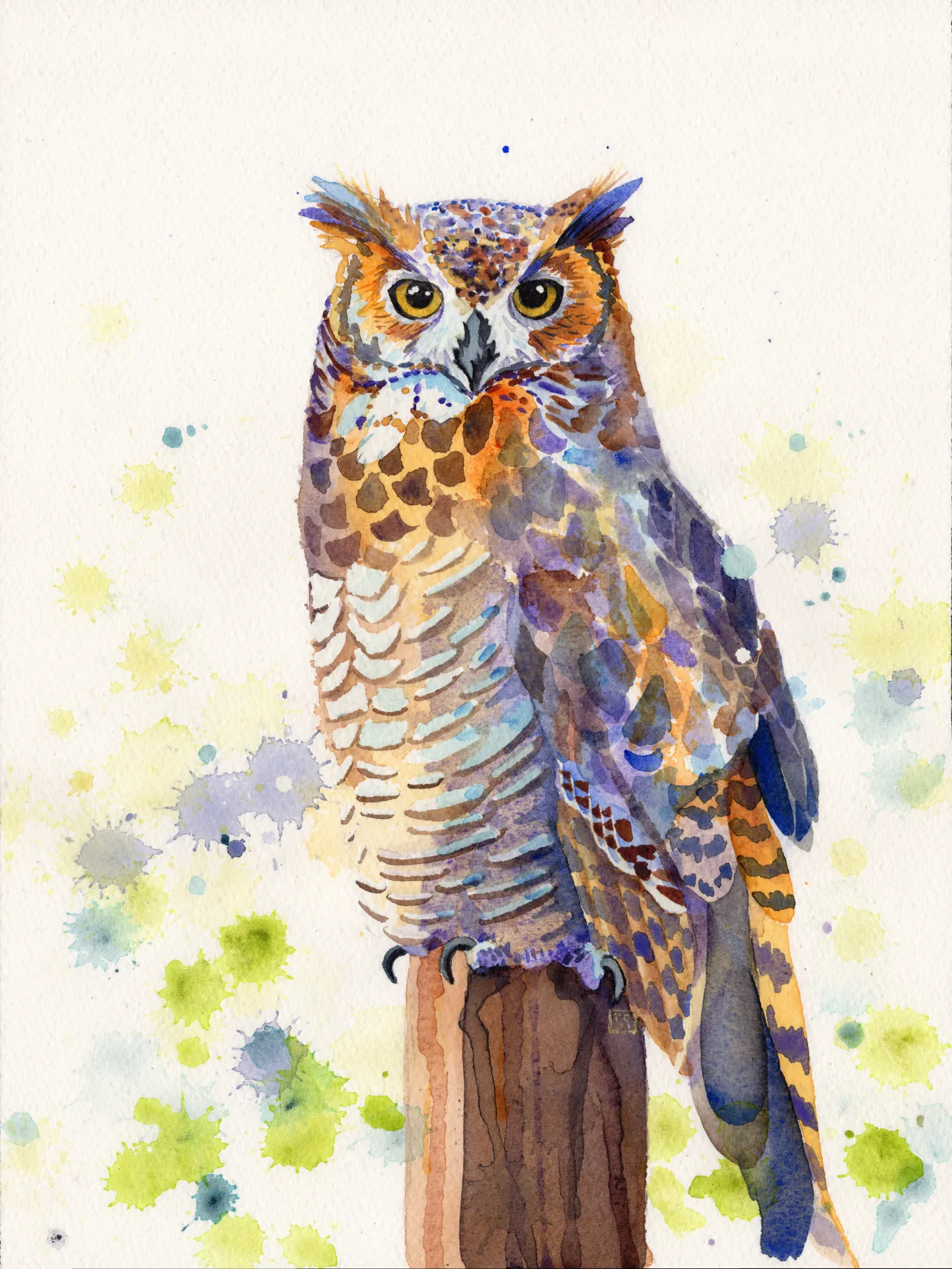 Great Horned Owl
